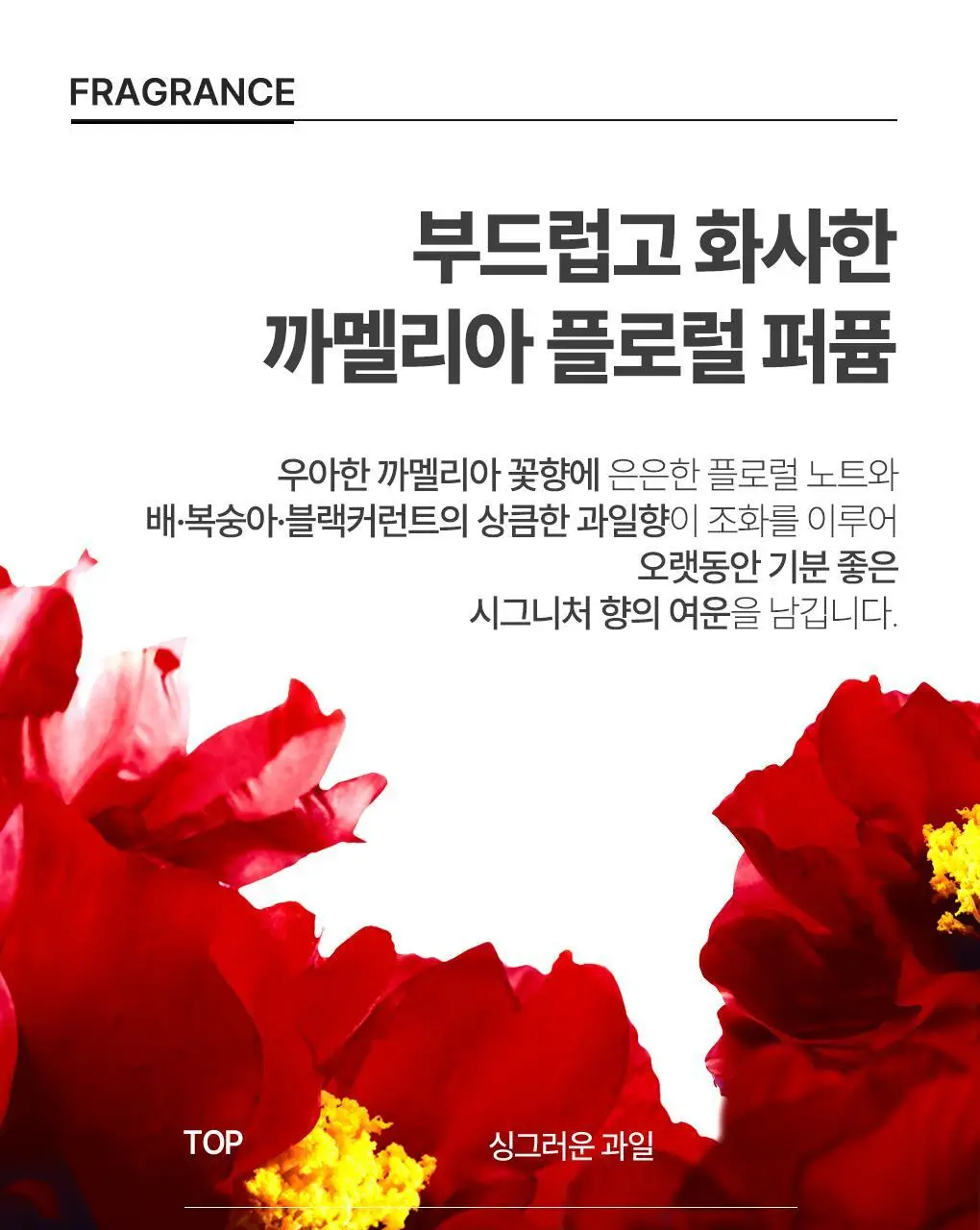 [까멜리아 헤어오일] 츠바키 오일 포스 엠 60ml 상세페이지 19